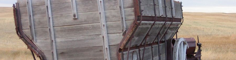 Hobby horse before the cart