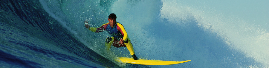 Let’s Go Surfing Now…