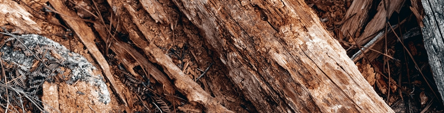 Final Cut Pro Launches a X the Chasm