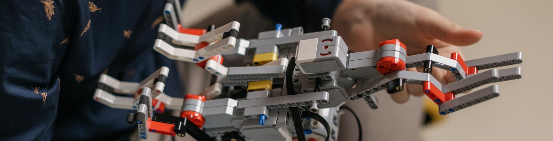 Can we build our own AI?